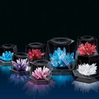 Crystal Growing Kit - Large
