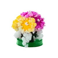 Magic Flower Activity Set