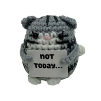 Mini Crochet  - Not Today... Cat