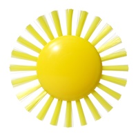 Plui Sunny Brush