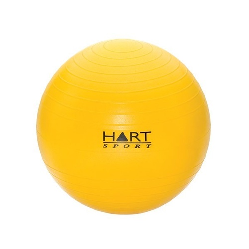 Swiss Ball - 38cm