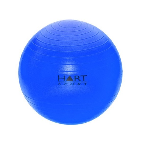 Swiss Ball - 55cm