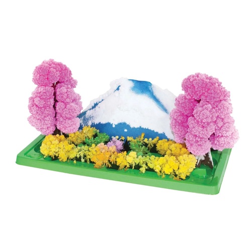 Magic Garden Activity Set