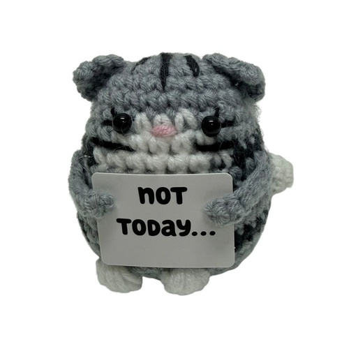 Mini Crochet  - Not Today... Cat