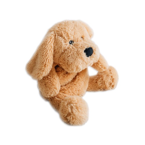 Charlie The Weighted Puppy