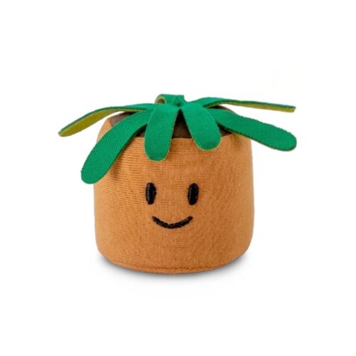 Squeezibo Plant Mates - Arlo the Aloe