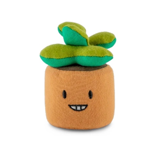 Squeezibo Plant Mates - Sunny the Succulent